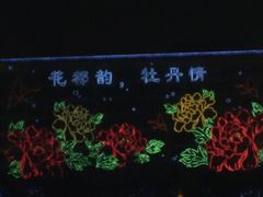 -洛阳市牡丹公园