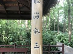 -上海滨江森林公园