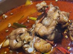 -宽口美蛙鱼头(大唐西市店)