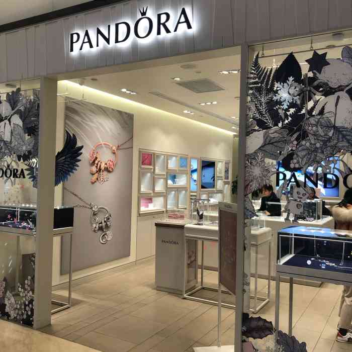 pandora潘多拉珠宝(武林银泰店)-"双十一入了一条手链款式比较素 但上