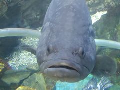 -烟台海昌鲸鲨海洋公园