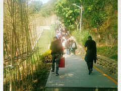 -仙岳公园