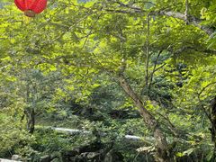 -石台牯牛降景区