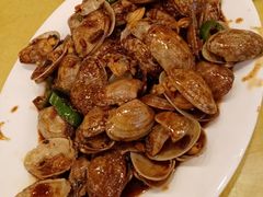 -鸿达渔港
