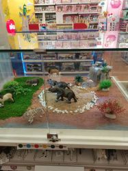 -kidsland(上海环球港店)