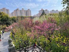-南汇桃花村