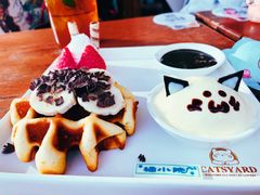 -猫小院猫主题咖啡厅(北锣店)