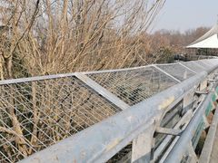 -大别山烤肉(弘阳广场店)