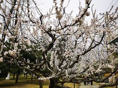 -元大都城垣遗址公园