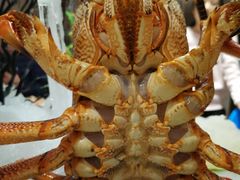 -皇朝尊会(龙之梦大酒店)