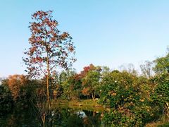 -西溪国家湿地公园