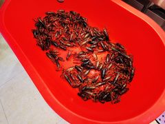 -瑞杰烧烤店·24小时营业(山东路店)