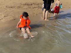 -奉贤海滩
