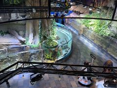 -迪拜水族馆及水下动物园