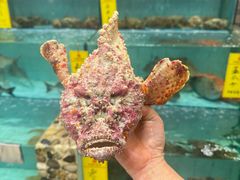 -有腥气私房菜·寻味顺德