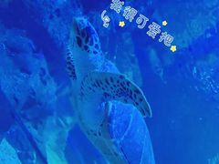 -外滩8号 whisky bar(金延大厦店)