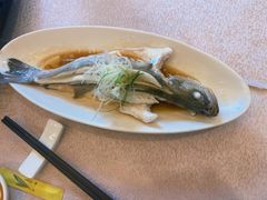 -十八棵（老龙井）御茶园(老龙井店)