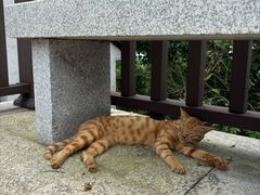 -缥缈峰景区