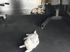 -M.S拳击泰拳馆(大学路店)