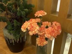 -云中漫步·足疗养生会馆(金开店)