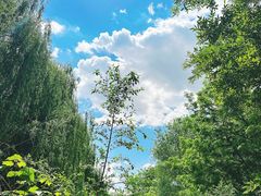 -长白岛森林公园