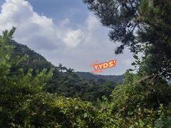 -金龙寺国家森林公园