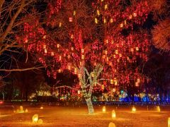 -承德避暑山庄景区