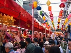 -越秀西湖花市(广州城市广场花卉店)