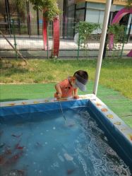 -萌宠亲子动物乐园(槐房万达店)