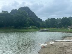 -Club Med地中海俱乐部·桂林度假村