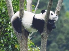 -华中科技大学百景园(三楼酒店)