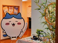 -优米国际日语·留学·移民(南山校区)