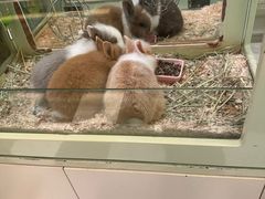 -龙猫仔乐园(惠福东路店)