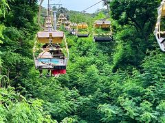 -富斯特索道