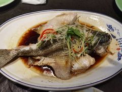 清蒸鲈鱼-北平盛世·新京菜·北京烤鸭(劲松·双井店)