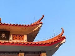 -深圳仙湖植物园