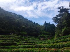 -鼓岭旅游度假区
