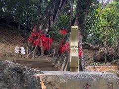 -七仙岭温泉国家森林公园