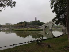 -顺峰山公园