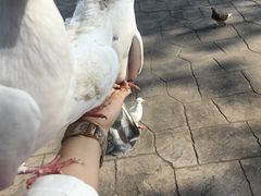 -南湖梦幻岛
