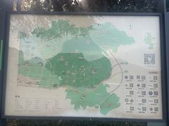 -九华山公园