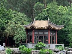 -顺峰山公园