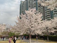 -西北湖绿化广场