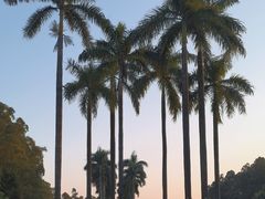 -南国桃园旅游度假区