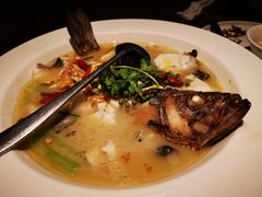 金汤酸菜海鲈鱼-肴约·花园式餐厅(湖里店)
