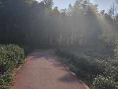 -陶祖圣境风景区