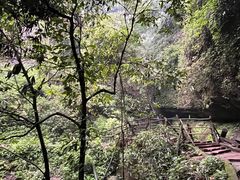 -青城山