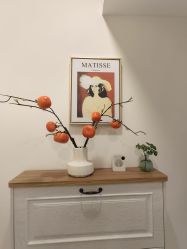 -FUMEIHUI·科技美肤·美体SPA