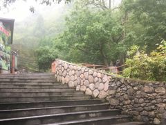 -藏龙百瀑风景区