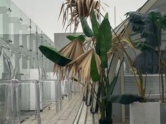 -Hi City·城市之巅